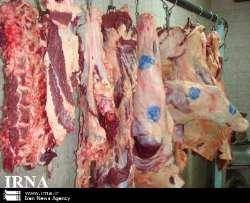 توزیع گسترده گوشت گرم و منجمد در شبکه‌های توزیعی/عرضه روزانه 40 تن گوشت گرم