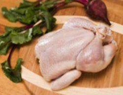 اردستان 10 درصد تولید گوشت سفید استان اصفهان را به خود اختصاص داد