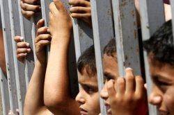 50 نهاد بین المللی خواستار پایان محاصره غزه شدند