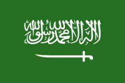 محمد بن سعود، عضو شورای سلطنتی عربستان مرد