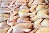 قیمت مرغ مجددا از 7000 تومان گذشت؛ وعده ارزانی به بایگانی رفت!