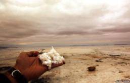 "۷۰ درصد مساحت دریاچه ارومیه به شوره زار تبدیل شده است"