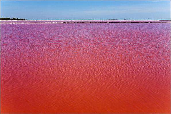 تصاویر طولانی ترین رودخانه آسیا که ناگهان قرمز شد