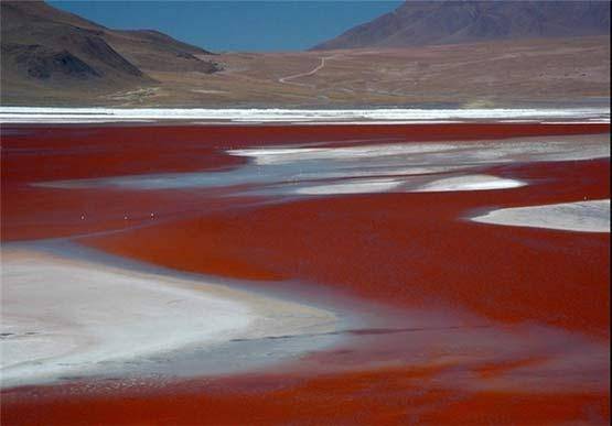 تصاویری از 5 دریاچه رنگی جهان