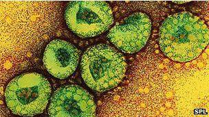 شناسایی ویروسی 'مشابه ویروس سارس' در بریتانیا