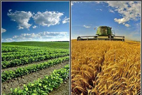 شرایط خرید تضمینی محصولات کشاورزی تعیین شد