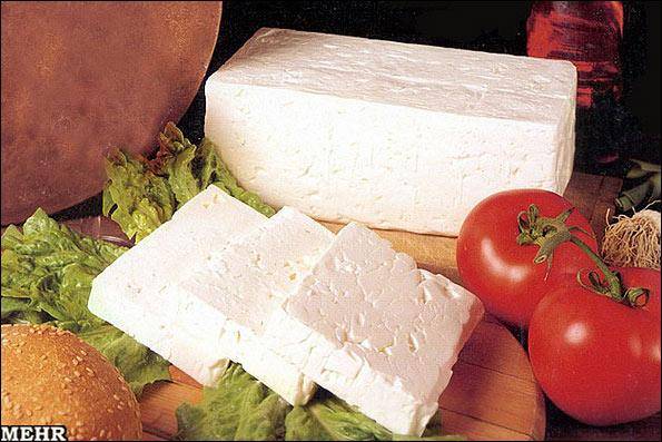 تولید پنیر از یک نوع گیاه بومی کشور/ پنیری برای درمان بیماریهای گوارشی