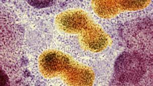 مرگ دو نفر در چین در اثر ابتلا به آنفلوآنزای مرغی  