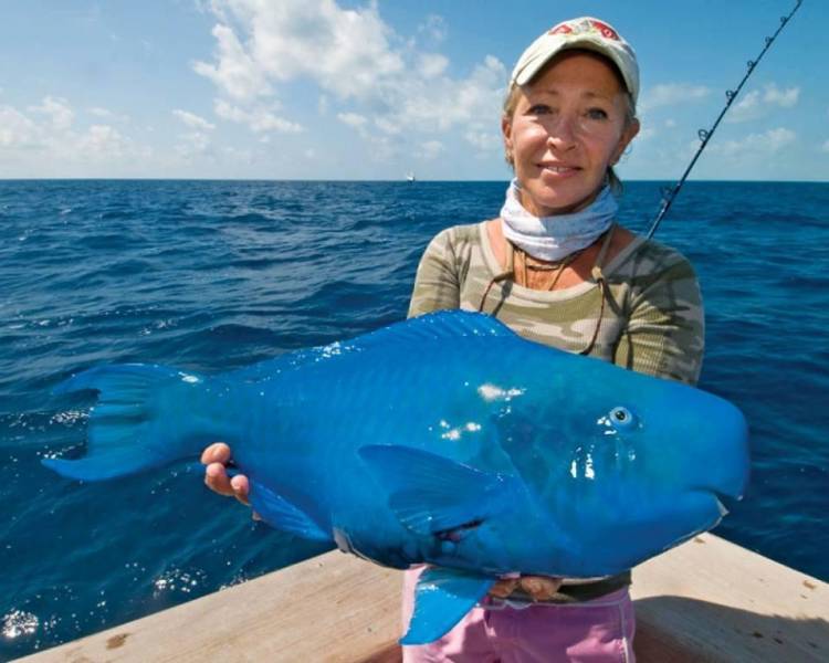 آبی ترین ماهی دنیا (عکس)