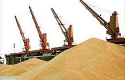 واردات گسترده گندم توسط ایران با کارمزد اضافی