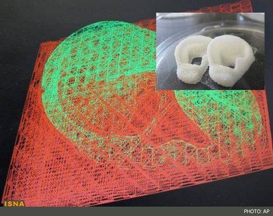 تولید اندام انسان با چاپگرهای سه‌بعدی