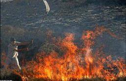 تدوام دود و آتش در جنگلهای ایران و «کوتاهی مسئولان»