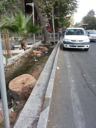 قتل درختان در خیابان ولی عصر تهران (عکس)