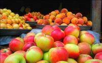 تحقیقات درباره پنج میوه ضد سرطان