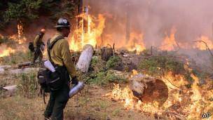 آتش سوزی عظیم کالیفرنیا ناشی از آتش یک شکارچی بود