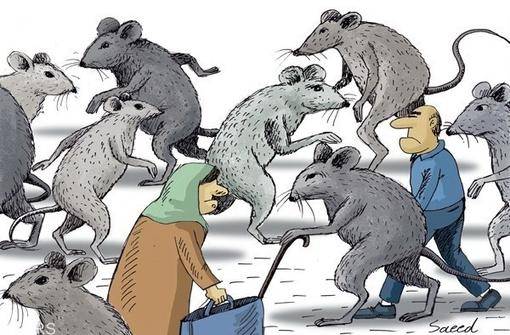 کاریکاتور : تهران ۶۰ میلیون موش‌ دارد!