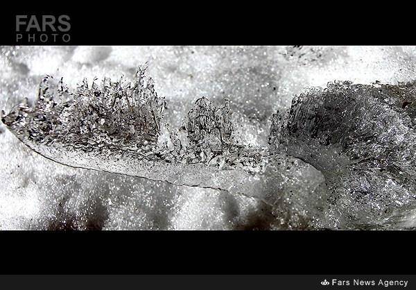 کریستال های یخی (عکس)