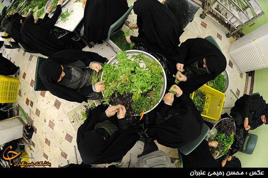 پخت و بسته‌بندی افطاری در حرم امام رضا (عکس)