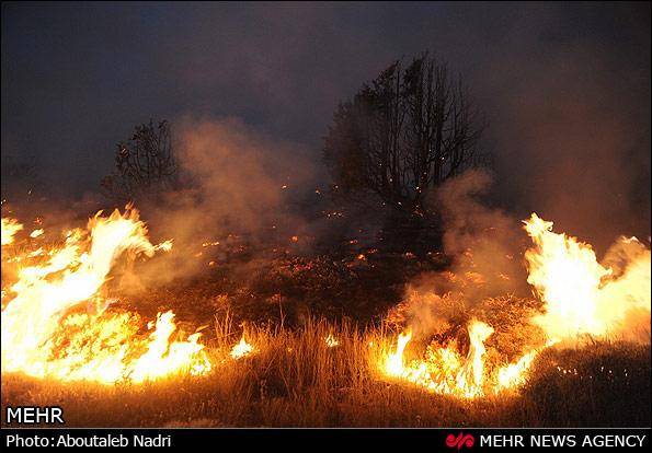 تصاویر / آتش سوزی در پارک ملی گلستان