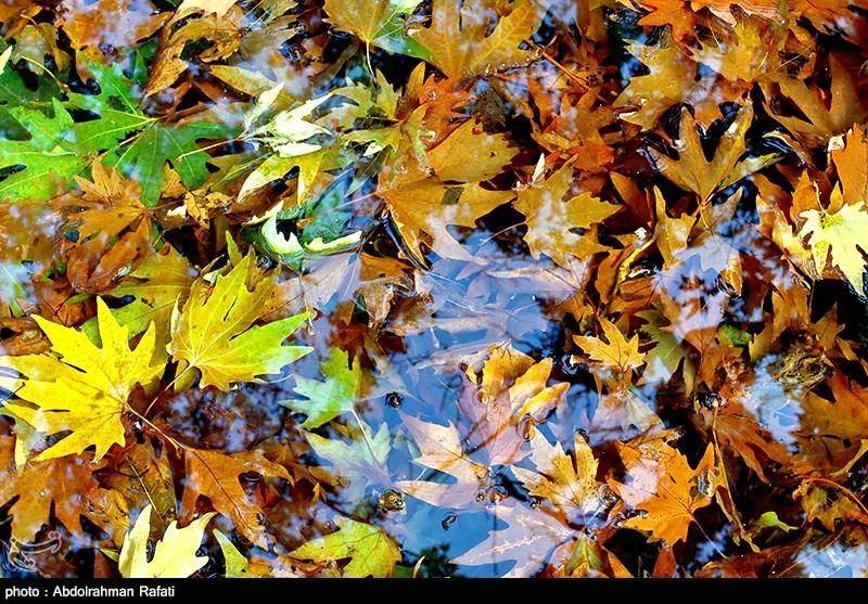 تصاویر/ پاییز رنگارنگ سراب گیان