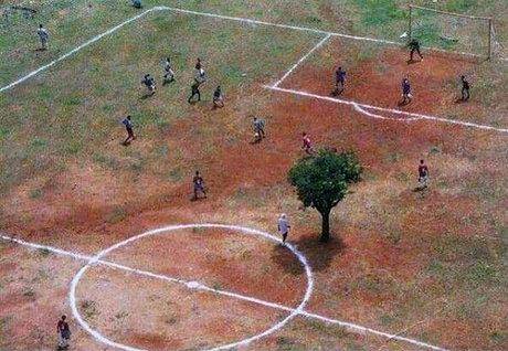 یک زمین فوتبال عجیب در هند/عکس