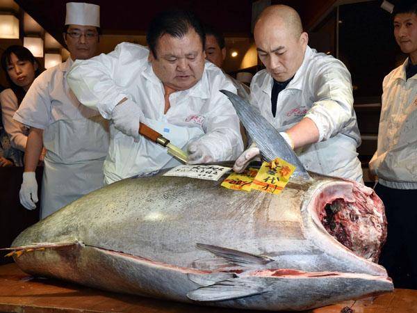 فروش گرانترین ماهی تن در ژاپن/تصاویر