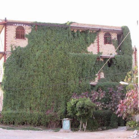عجیب ترین خانه نیمه ساز در ایران/عکس