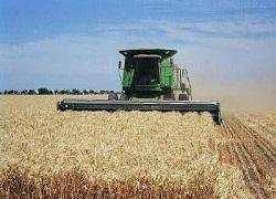 واردات ۲ میلیون تن گندم ۹۰۰ تومانی / خریداری ۱۲۰ هزار تن گندم با نرخ تضمینی