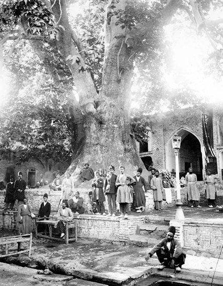 عکس/درخت چنار کهنسال امامزاده صالح