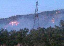 آتش سوزی در ارتفاعات جنگلی شلم در ایلام مهار شد