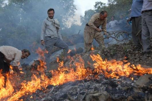 مدیر کل منابع طبیعی استان کرمانشاه تایید کرد در جدیدترین آتش سوزی در استان کردستان ۴۰۰ هکتار از اراضی طبیعی شهرستان دالاهو در آتش سوخته است