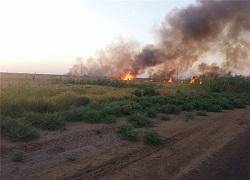 آخرین پایگاه داعش در استان دیالی عراق سقوط کرد