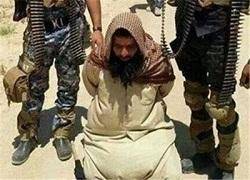 فروپاشی داعش؛اوج سرخوردگی تکفیری ها