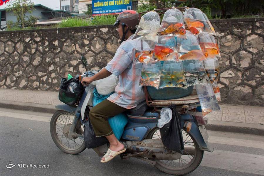 تصاویر: پیک موتوری‌ها در ویتنام