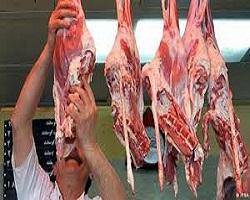 افزایش قیمت گوشت گوسفندی