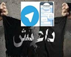 داعش از توئیتر به تلگرام رفت