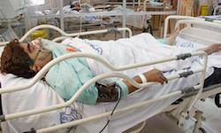 مرگ هشت نفر بر اثر آنفولانزای خوکی در کرمان