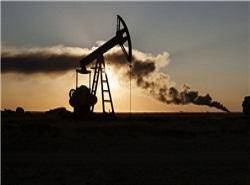 قیمت نفت اوپک، نخستین بار از سال 2004 به زیر 30 دلار سقوط کرد