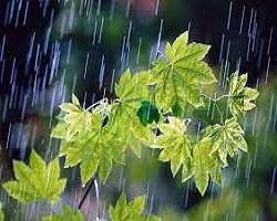 بارش باران و لطافت هوای خوزستان