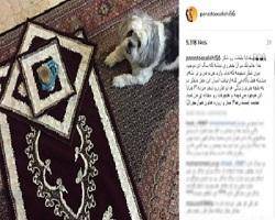 پست جنجالی پرستو صالحی در اینستاگرام و حذف آن + عکس