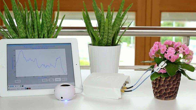 دستگاهی برای شنیدن درد دل گیاهان! + عکس