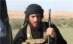 پایگاه صهیونیستی: داعش مسئول کشته شدن العدنانی است نه آمریکا و روسیه