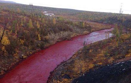 مشخص شدن علت خون‌آلودی رودخانه "دالدیکان" روسیه
