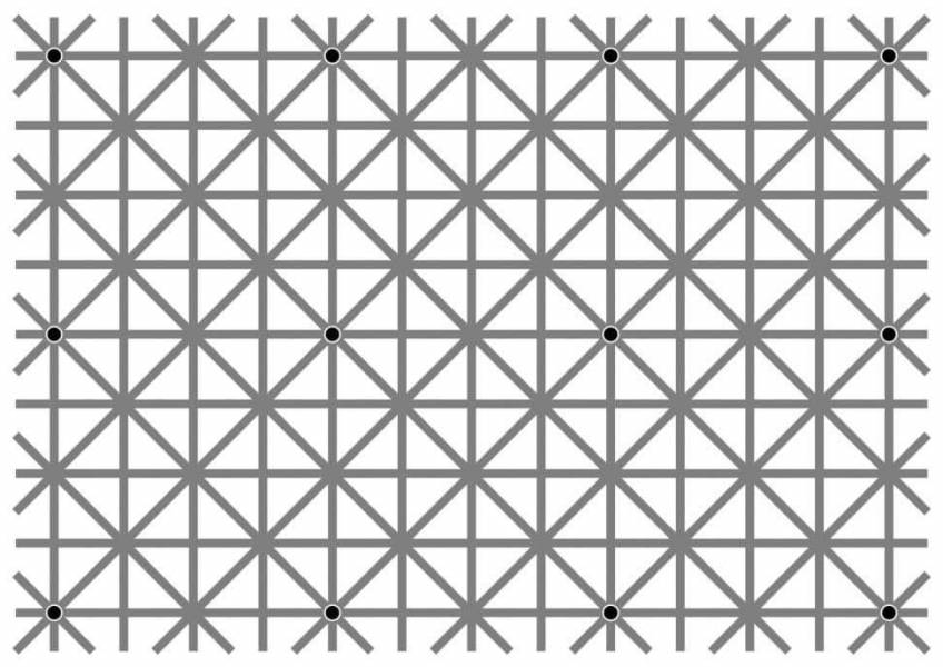 عکس/ معما : چند نقطه سیاه را در این عکس می بینید؟