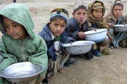۸۰۰ میلیون نفر در جهان گرسنه‌اند