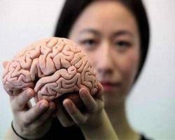 آیا مغز با افزایش سن پیر می‌شود!؟