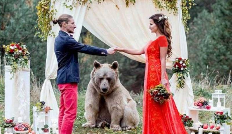 یک خرس، زوج روسی را به عقد هم درآورد!  + عکس