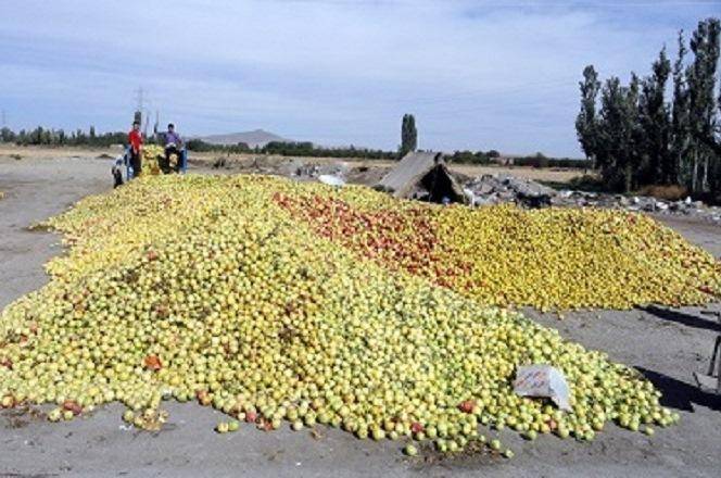 رتبه اول ایران در  هدر رفت ضایعات محصولات میوه و تره بار