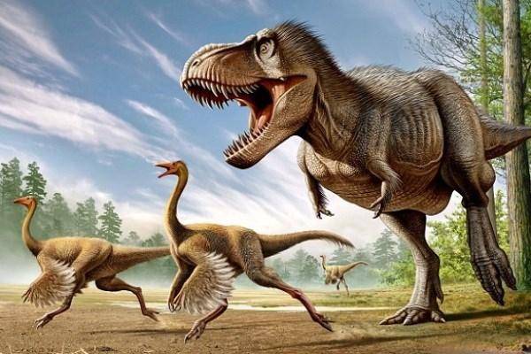 پرهای رنگی 130 میلیون ساله دایناسورها + عکس