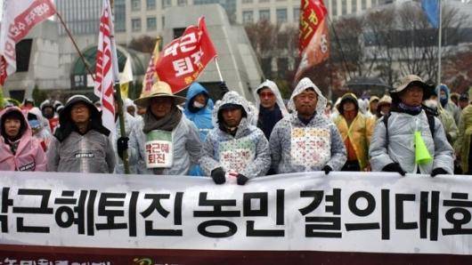 مخالفان پارک گون هه، رئیس‌جمهوری کره جنوبی در شهرهای مختلف این کشور بزرگترین تجمع‌ خود را برگزار کرده‌اند. آنها خواستار استعفای رئیس جمهوری هستند